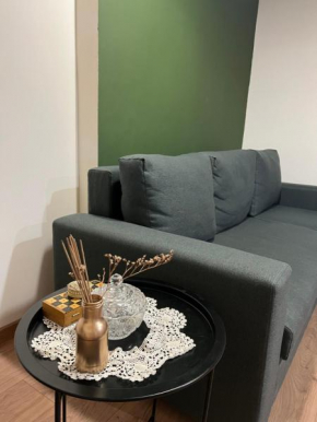Apartment in the city centre Yerevan, Sayat Nova street